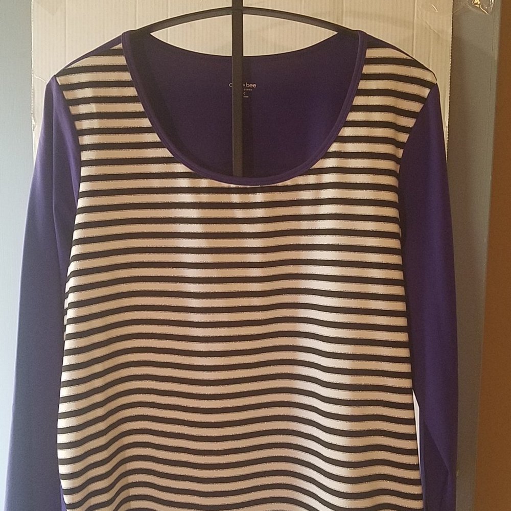 Cee Bee Cheryl Burke Long Sleeve Stripe Crew Neck top, Size 2X, Cobalt Color